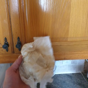 Pre Build Cleaning Studley, Warwickshire